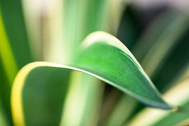 《鬼玩人：游戏》可通过N卡DLSS获得大幅FPS提升